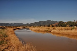 fiume, acqua, montagne, erba, canale, cielo, rive, campagna, paesaggio