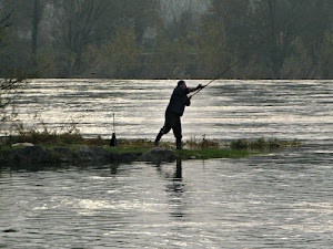 pescatore, acqua, fiume, alberi, canna, pesca, erba, pescare, lancio, persona, riflessi, uno, luccichio, lenza, natura, riflesso, controluce, lago