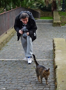 fotografo, gatto, coda, ringhiera, obiettivo, inseguimento